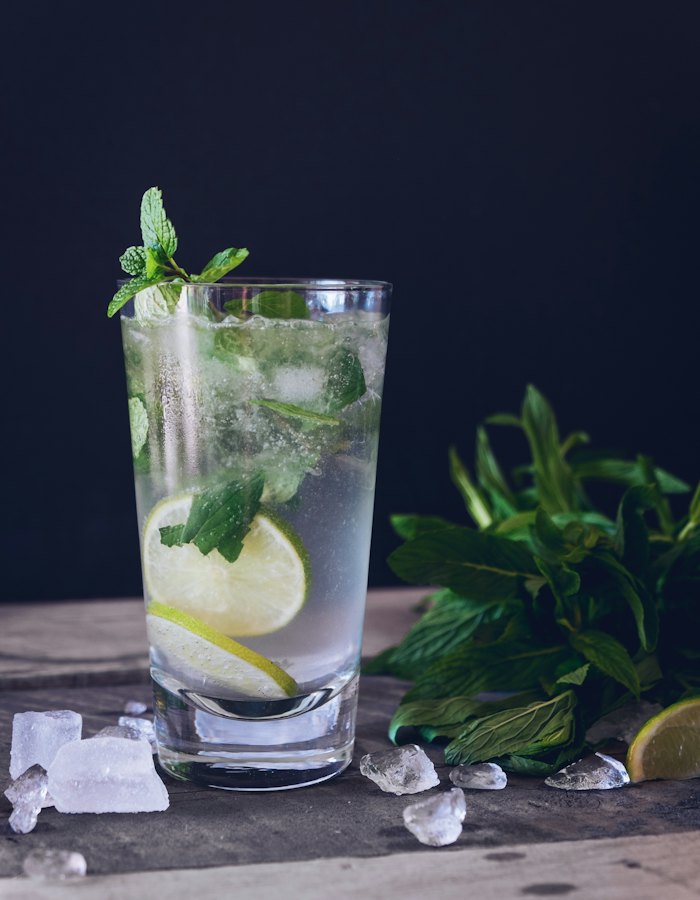 Gin tônica com limão e hortelã